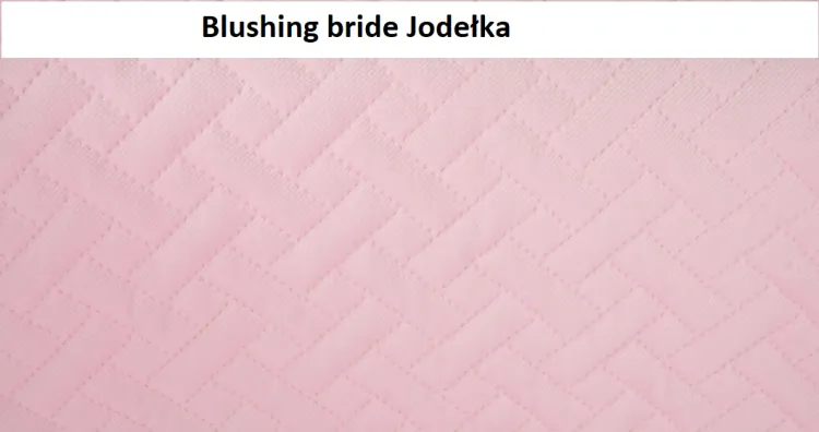velvet pikowany cegiełka, tkanina velvet pikowana, velvet premium pikowany, materiał velvet cegiełka, velvet na kocyk, velvet dla dzieci, velvet pikowany na ocieplinie, tkanina dekoracyjna velvet, velvet tapicerski pikowany, miękki velvet pikowany,